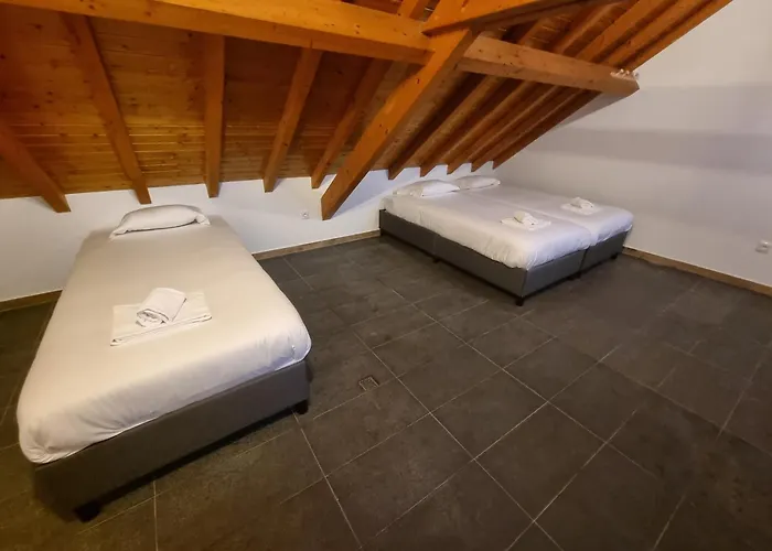 G3 Gamboa Пениши